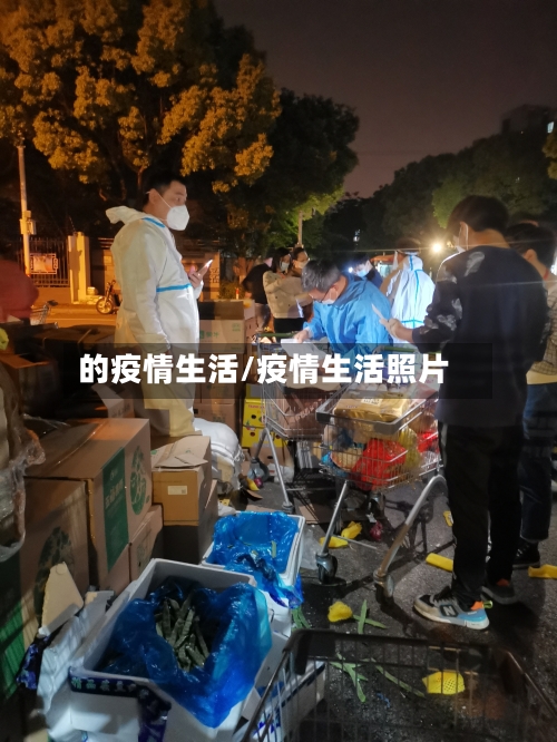 的疫情生活/疫情生活照片-第2张图片