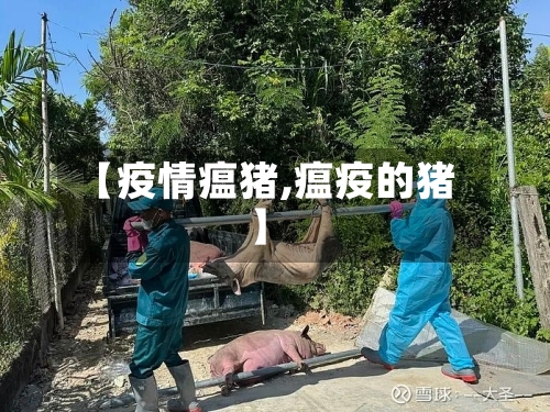 【疫情瘟猪,瘟疫的猪】-第2张图片