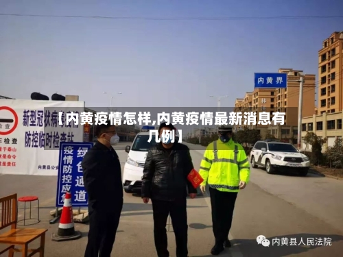 【内黄疫情怎样,内黄疫情最新消息有几例】-第2张图片