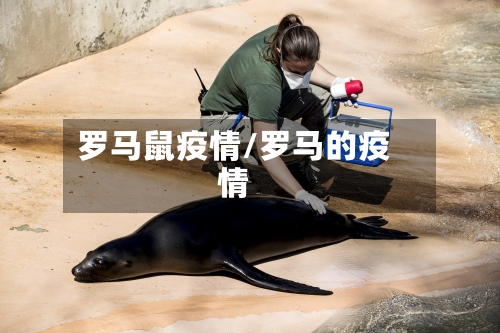 罗马鼠疫情/罗马的疫情-第3张图片