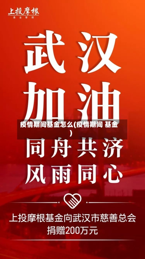 疫情期间基金怎么(疫情期间 基金)