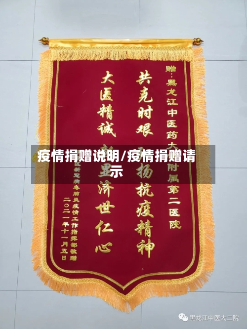 疫情捐赠说明/疫情捐赠请示
