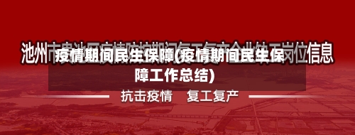 疫情期间民生保障(疫情期间民生保障工作总结)-第2张图片