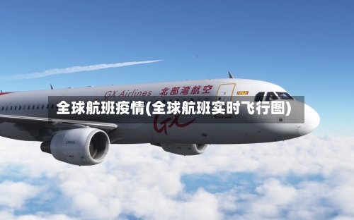 全球航班疫情(全球航班实时飞行图)-第2张图片