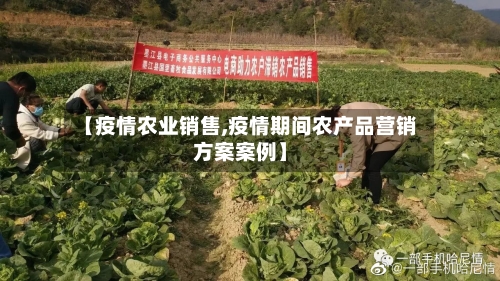 【疫情农业销售,疫情期间农产品营销方案案例】-第3张图片