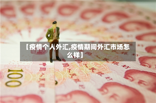 【疫情个人外汇,疫情期间外汇市场怎么样】