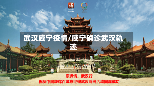 武汉咸宁疫情/咸宁确诊武汉轨迹