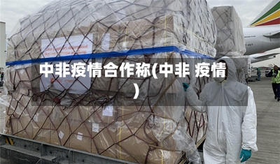 中非疫情合作称(中非 疫情)-第2张图片
