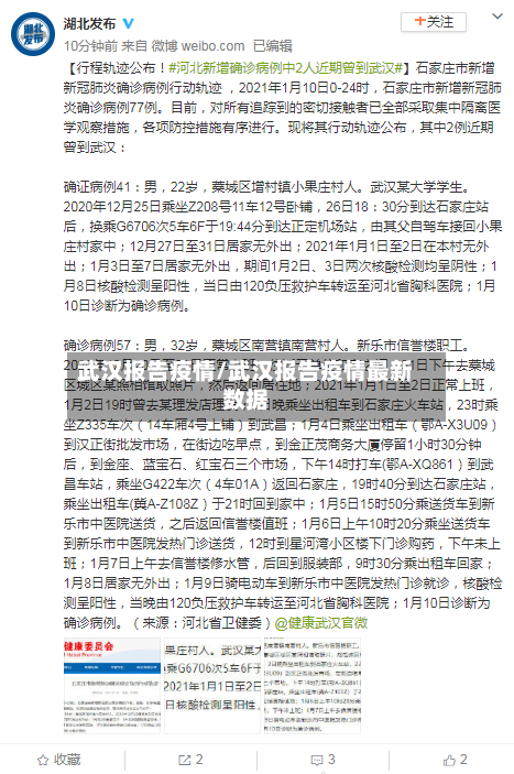 武汉报告疫情/武汉报告疫情最新数据-第2张图片