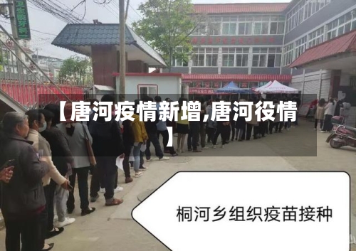 【唐河疫情新增,唐河役情】-第3张图片