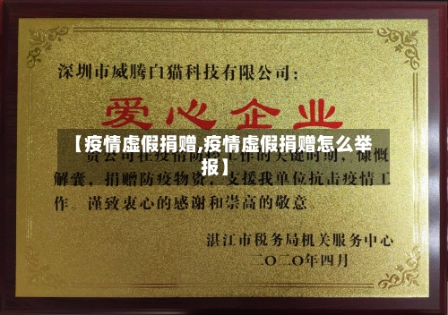 【疫情虚假捐赠,疫情虚假捐赠怎么举报】-第2张图片