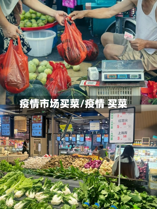 疫情市场买菜/疫情 买菜-第2张图片