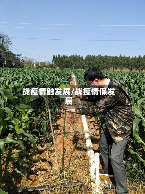 战疫情触发展/战疫情保发展
