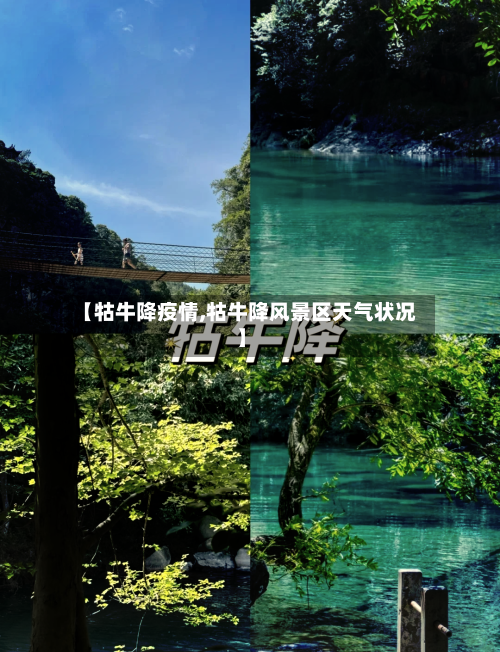 【牯牛降疫情,牯牛降风景区天气状况】