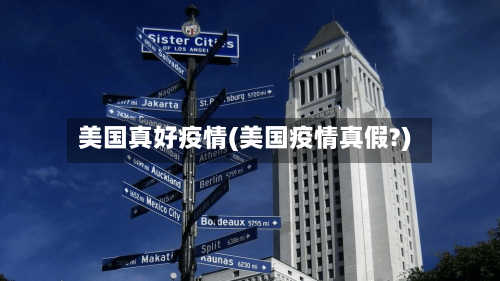 美国真好疫情(美国疫情真假?)-第3张图片