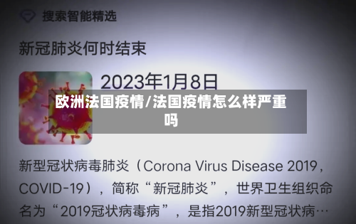欧洲法国疫情/法国疫情怎么样严重吗
