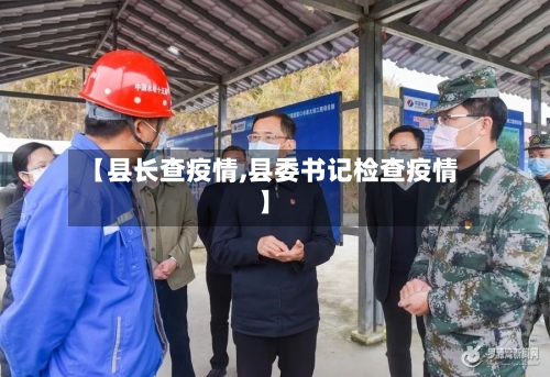 【县长查疫情,县委书记检查疫情】-第2张图片