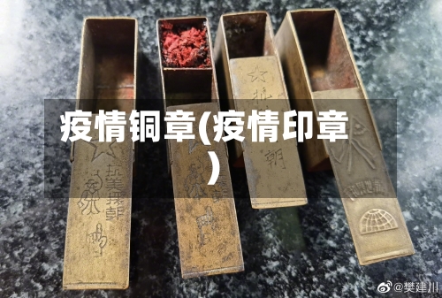 疫情铜章(疫情印章)