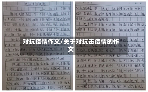 对抗疫情作文/关于对抗击疫情的作文-第3张图片
