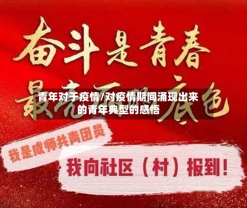 青年对于疫情/对疫情期间涌现出来的青年典型的感悟