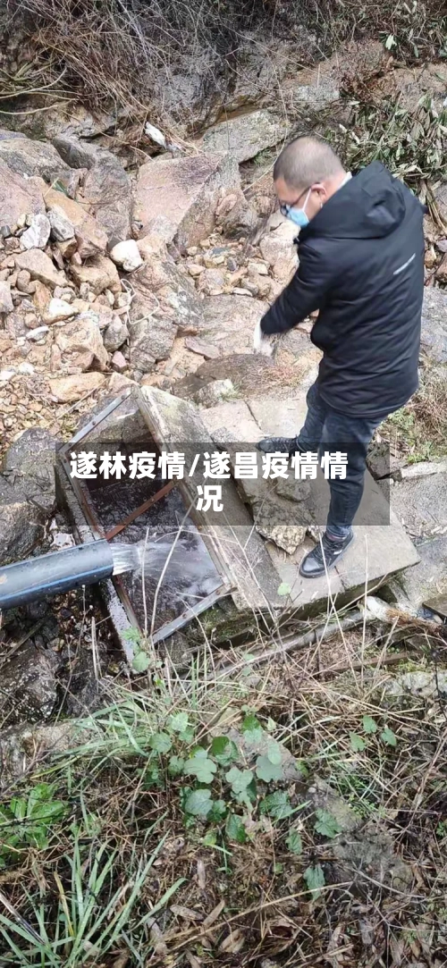 遂林疫情/遂昌疫情情况-第2张图片