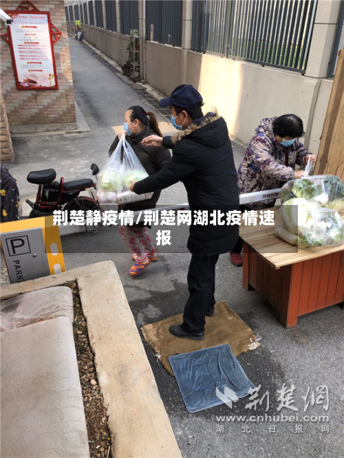 荆楚静疫情/荆楚网湖北疫情速报