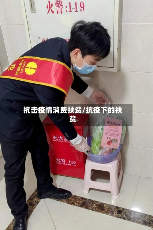 抗击疫情消费扶贫/抗疫下的扶贫