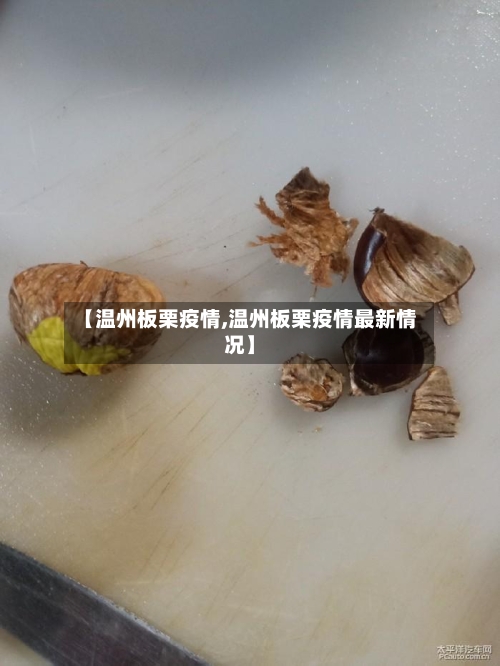 【温州板栗疫情,温州板栗疫情最新情况】-第2张图片