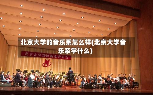 北京大学的音乐系怎么样(北京大学音乐系学什么)-第2张图片