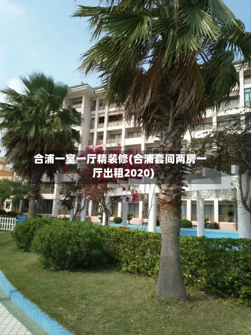 合浦一室一厅精装修(合浦套间两房一厅出租2020)