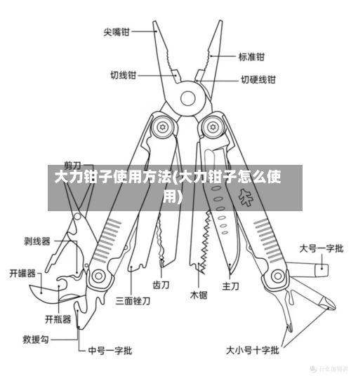 大力钳子使用方法(大力钳子怎么使用)-第2张图片