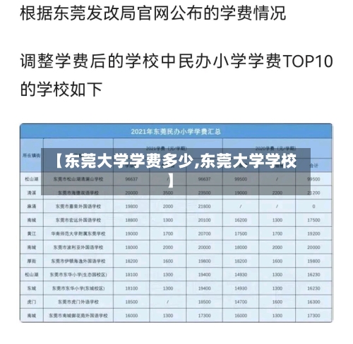 【东莞大学学费多少,东莞大学学校】