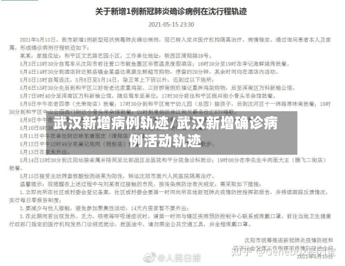 武汉新增病例轨迹/武汉新增确诊病例活动轨迹-第3张图片
