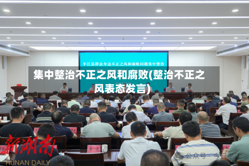集中整治不正之风和腐败(整治不正之风表态发言)-第2张图片