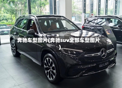 奔驰车型图片(奔驰suv全部车型图片)-第3张图片