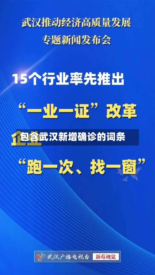 包含武汉新增确诊的词条
