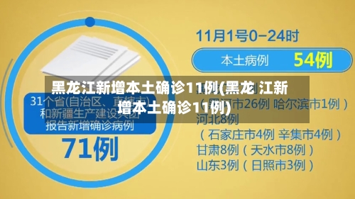 黑龙江新增本土确诊11例(黑龙 江新增本土确诊11例)-第2张图片
