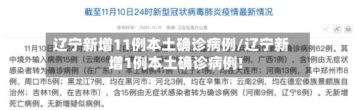 辽宁新增11例本土确诊病例/辽宁新增1例本土确诊病例!