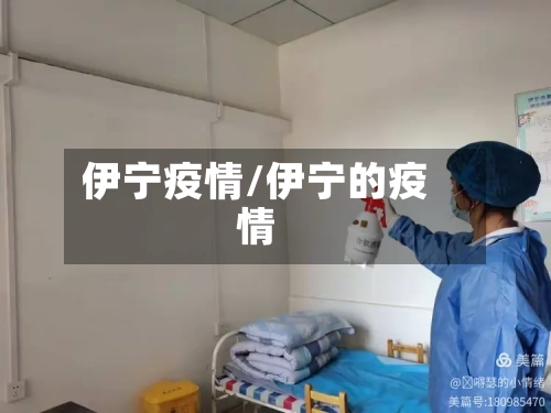 伊宁疫情/伊宁的疫情-第2张图片