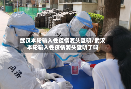 武汉本轮输入性疫情源头查明/武汉本轮输入性疫情源头查明了吗