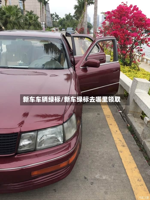 新车车辆绿标/新车绿标去哪里领取