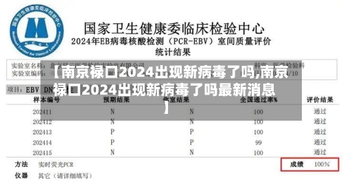 【南京禄口2024出现新病毒了吗,南京禄口2024出现新病毒了吗最新消息】-第2张图片