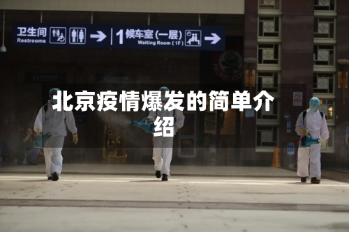 北京疫情爆发的简单介绍