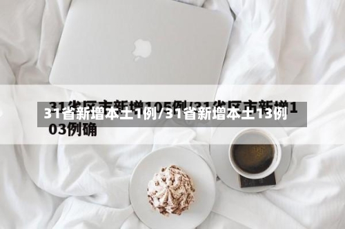 31省新增本土1例/31省新增本土13例-第3张图片