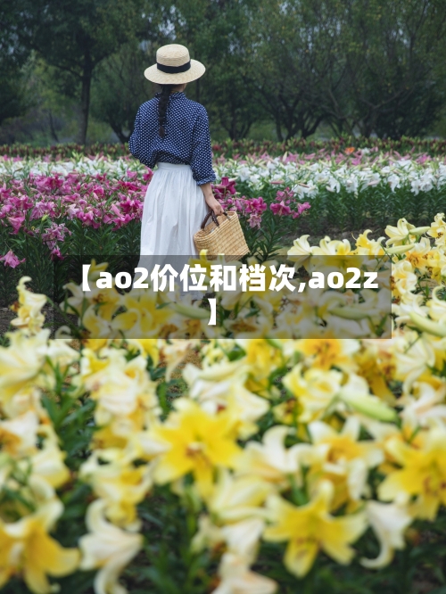 【ao2价位和档次,ao2z】-第3张图片