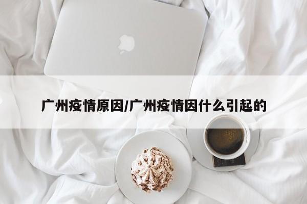 广州疫情原因/广州疫情因什么引起的
