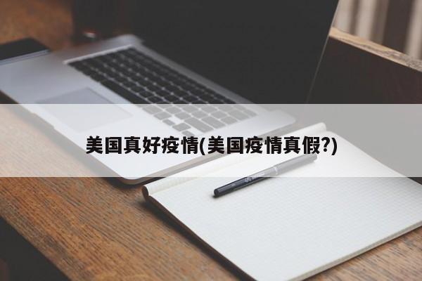 美国真好疫情(美国疫情真假?)