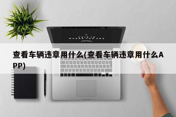 查看车辆违章用什么(查看车辆违章用什么APP)