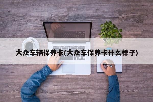 大众车辆保养卡(大众车保养卡什么样子)